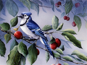 Картинка рисованные животные птицы