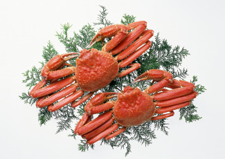 Картинка еда