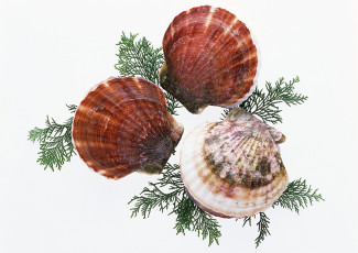 Картинка еда