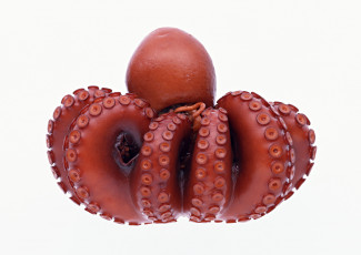 Картинка еда рыба морепродукты суши роллы