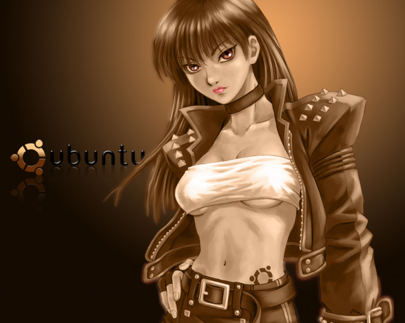 Обои картинки фото компьютеры, ubuntu, linux