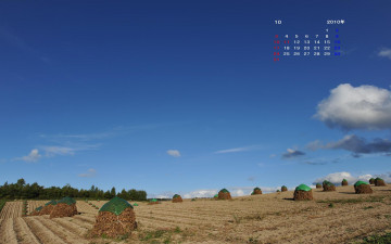 Картинка календари природа