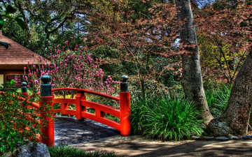 Картинка природа парк