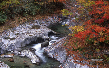 Картинка природа реки озера