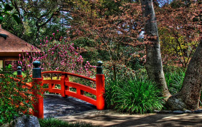 Обои картинки фото природа, парк