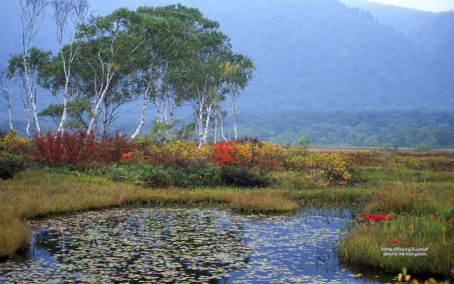 Обои картинки фото природа, пейзажи