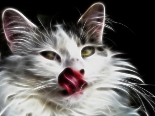 Картинка 3д графика animals животные кот