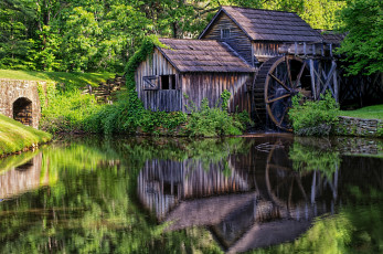 Картинка разное мельницы водяная мельница лес вода