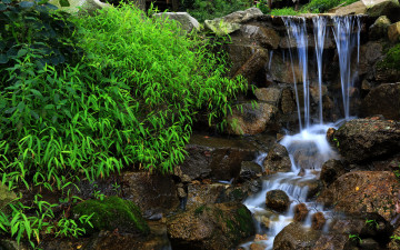 Картинка природа водопады зелень камни ручей