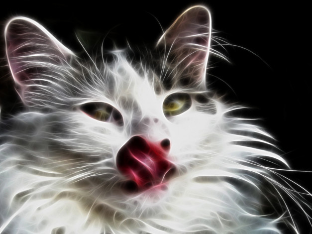 Обои картинки фото 3д, графика, animals, животные, кот