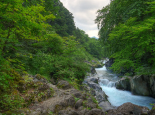 Картинка nikko Япония природа реки озера лес поток река
