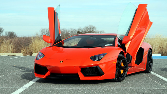 Обои картинки фото lamborghini, aventador, автомобили, спортивные, класс-люкс, automobili, holding, s, p, a, италия