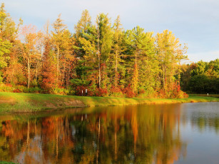 Картинка природа реки озера река лес