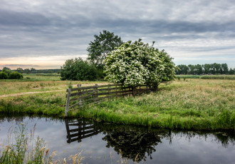 Картинка природа реки озера река лес