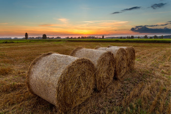 Картинка природа поля жнивье валки