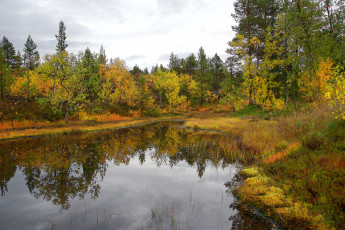 Картинка природа реки озера лес осень река
