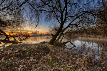 Картинка природа реки озера лес река