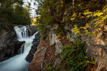 Картинка природа водопады водопад река лес