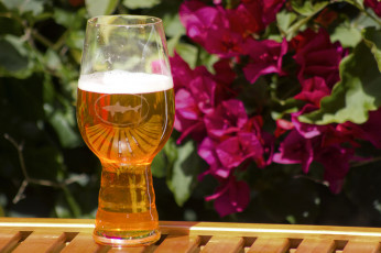 Картинка еда напитки +пиво бокал пиво