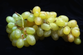 Картинка еда виноград ягоды