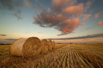 Картинка природа поля жнивье валки