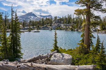 Картинка природа реки озера горы лес река