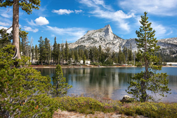 Картинка природа реки озера горы река лес