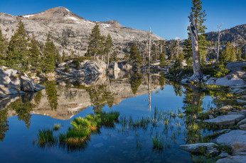 Картинка природа реки озера горы река лес