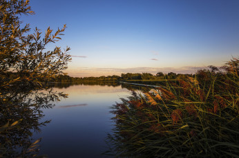 Картинка природа реки озера лес река