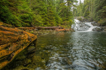 Картинка природа реки озера лес река