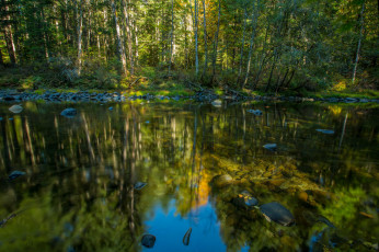 Картинка природа реки озера лес река