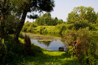 Картинка природа реки озера река лес