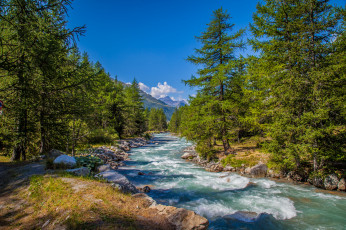 Картинка природа реки озера река лес