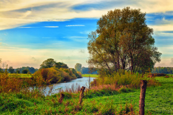 Картинка природа реки озера река лес