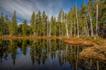 Картинка природа реки озера река лес