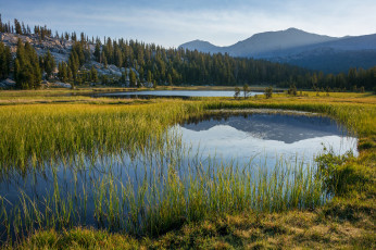 Картинка природа реки озера река лес горы