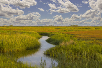 Картинка природа реки озера ручей равнина