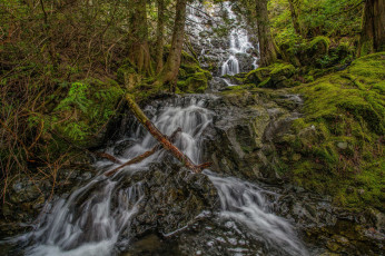Картинка природа водопады река лес водопад