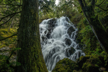 Картинка природа водопады водопад река лес