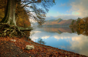 Картинка природа реки озера лес река