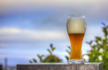 Картинка еда напитки +пиво бокал пиво