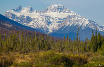 Картинка природа горы