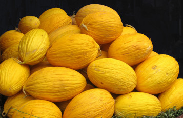 Картинка еда дыня урожай