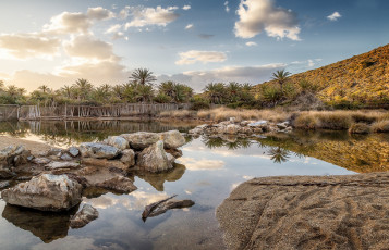 Картинка природа тропики река пальмы