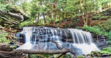 Картинка природа водопады водопад лес река