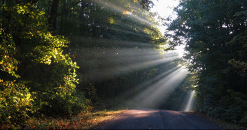 Картинка природа дороги лучи дорога лес