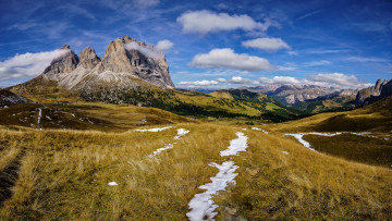 Картинка природа грибы долина горы