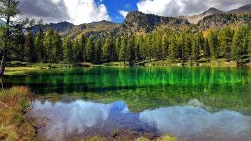 Картинка природа реки озера лес река