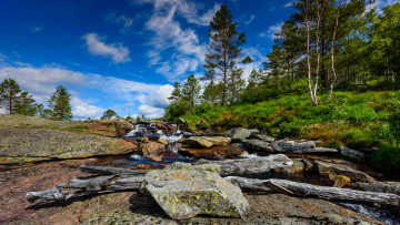 Картинка природа реки озера река лес