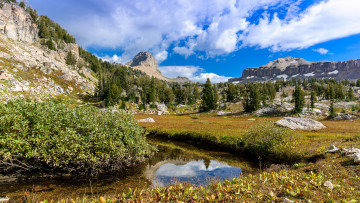 Картинка природа реки озера река лес